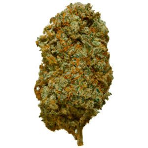 Dublin Lava 🌋 CBD Flower